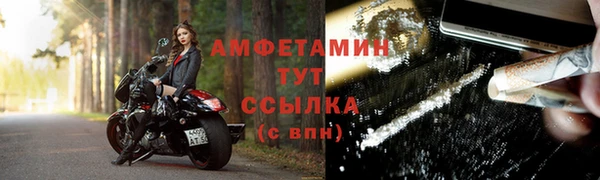 гидра Арсеньев