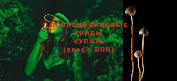 гидра Арсеньев