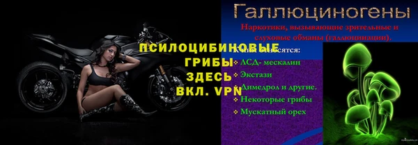 гидра Арсеньев