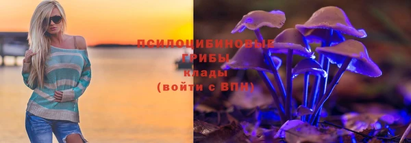 винт Аркадак