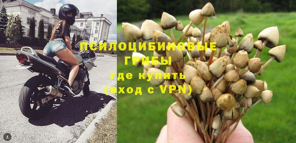 винт Аркадак