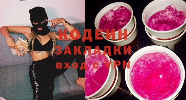 гидра Арсеньев
