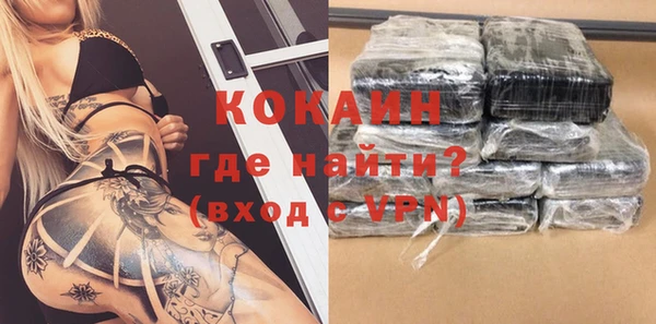 гидра Арсеньев