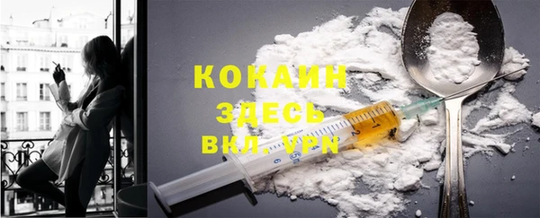 apvp Алексин
