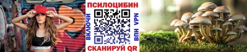 Галлюциногенные грибы Psilocybe  дарнет шоп  Нурлат 