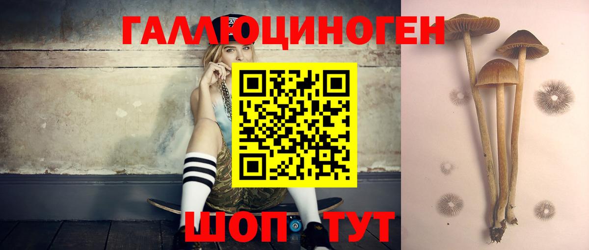 Галлюциногенные грибы Magic Shrooms  Вход с VPN  Галлюциногенные грибы Magic Shrooms  Нурлат 